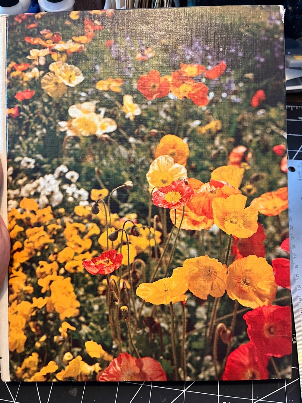 The Good Housekeeping Illustrated Encyclopedia of Gardening Vol. 9